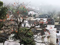 -塔川景区