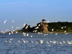 -渔岛海洋度假区