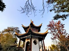 -戏马台景区