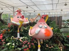 -上海鲜花港