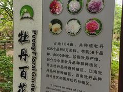 -洛阳市隋唐城遗址植物园