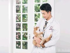 -宠爱国际动物医院·疑难骨科·心肾内科·皮肤科(太阳宫店)
