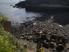 -枸杞岛