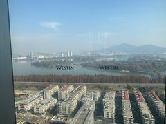 -湖景知味西餐厅•自助餐• 轻食(南京金茂威斯汀大酒店)