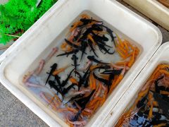 -中环花鸟鱼虫市场