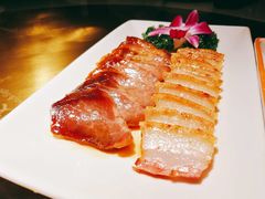 -南枝记