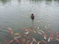 -春晖园度假酒店温泉