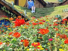 -武汉紫薇都市田园