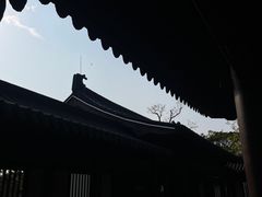 -江心屿景区