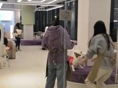 -怪兽屋·羊驼·猫咖·狗咖(俊华广场店)