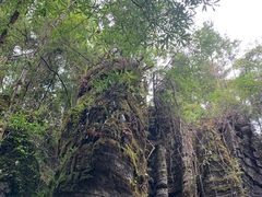 -梭布垭石林景区