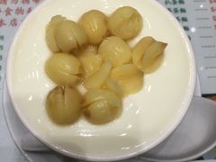-义顺牛奶公司(新马路老店)