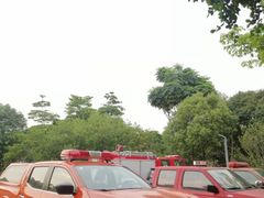 -风云岭森林公园