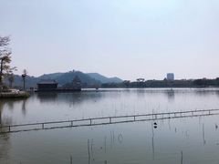 -顺峰山公园