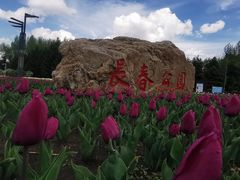 -长春公园(普阳街道)