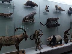 -国家自然博物馆