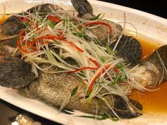 清蒸龙胆鱼-海通1号(梅峰店)