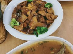 -陈麻婆豆腐总店