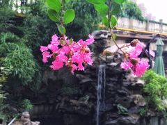 -漫渡庄绿岛花园•隐世庭园菜(滨湖店)