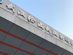 -武汉关码头(轮渡站)