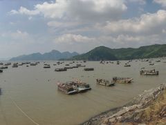 -小皓村