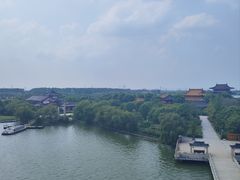 -溱湖国家湿地公园