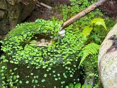 -鱼桥巷·美学川菜