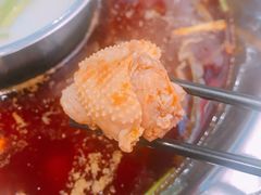 -重庆烧鸡公火锅(簋街店)