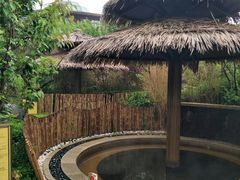 -大连金石滩绿发温泉假日酒店