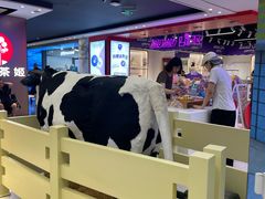 -红星前进面包牛奶公司(君太店)