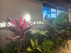 -Margherita雏菊意大利餐厅(雅颂庭购物中心店)