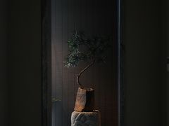 -见山茶事(丽水路店)