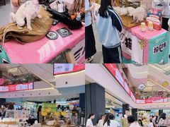 -友谊阳光城