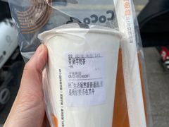 -CoCo都可(十全东店)