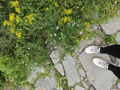 -北京鹫峰国家森林公园