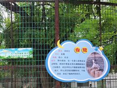 -保定市动物园