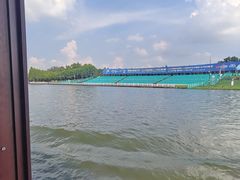 -溱湖国家湿地公园