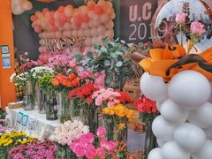 -重庆市江北嘴中央商务区中央公园