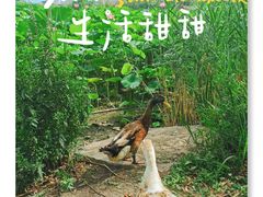 -莲花池公园