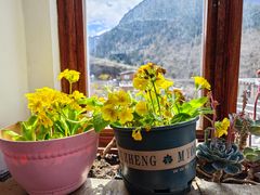 -四姑娘山阿巴郎·藏式花园餐厅