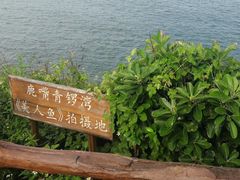 -杨梅坑