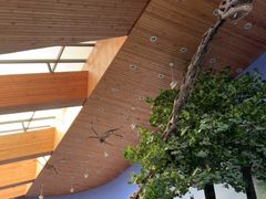 -延庆地质公园博物馆