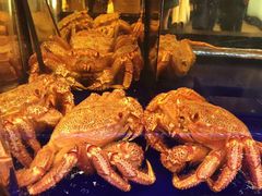 大堂-蟹道乐(道顿堀本店)