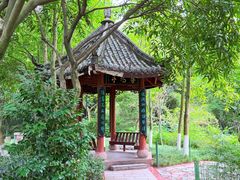 -龙头寺公园