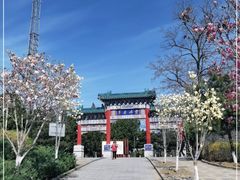 -云岗森林公园