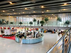-同济大学（四平路校区）-图书馆