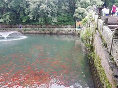 -普陀山风景名胜区-法雨禅寺