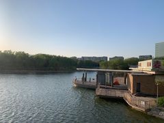 -大兴滨河森林公园