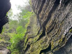 -梦幻奥陶纪景区