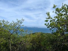 -棒棰岛宾馆景区